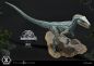Preview: Jurassic World: Fallen Kingdom Prime Collectibles Statue 1/10 Blue (Open Mouth Version) 17 cm