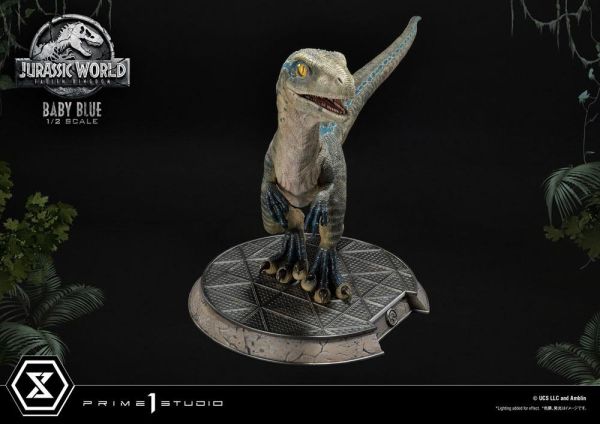 Jurassic World: Fallen Kingdom Prime Collectibles Statue 1/2 Baby Blue 34 cm