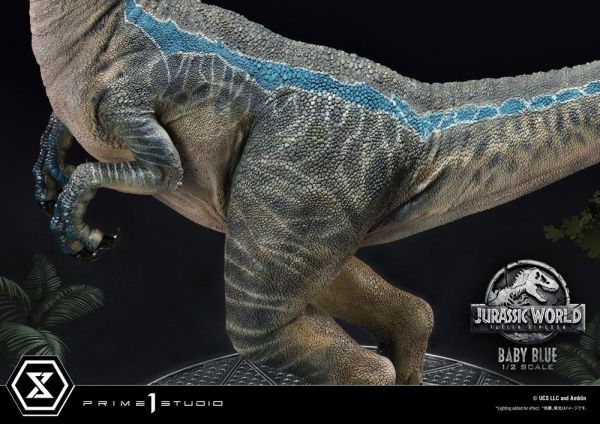 Jurassic World: Fallen Kingdom Prime Collectibles Statue 1/2 Baby Blue 34 cm